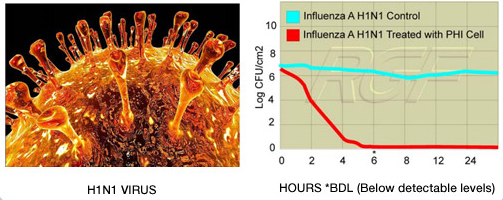 h1n1